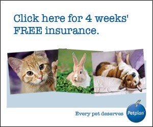 PetPlan